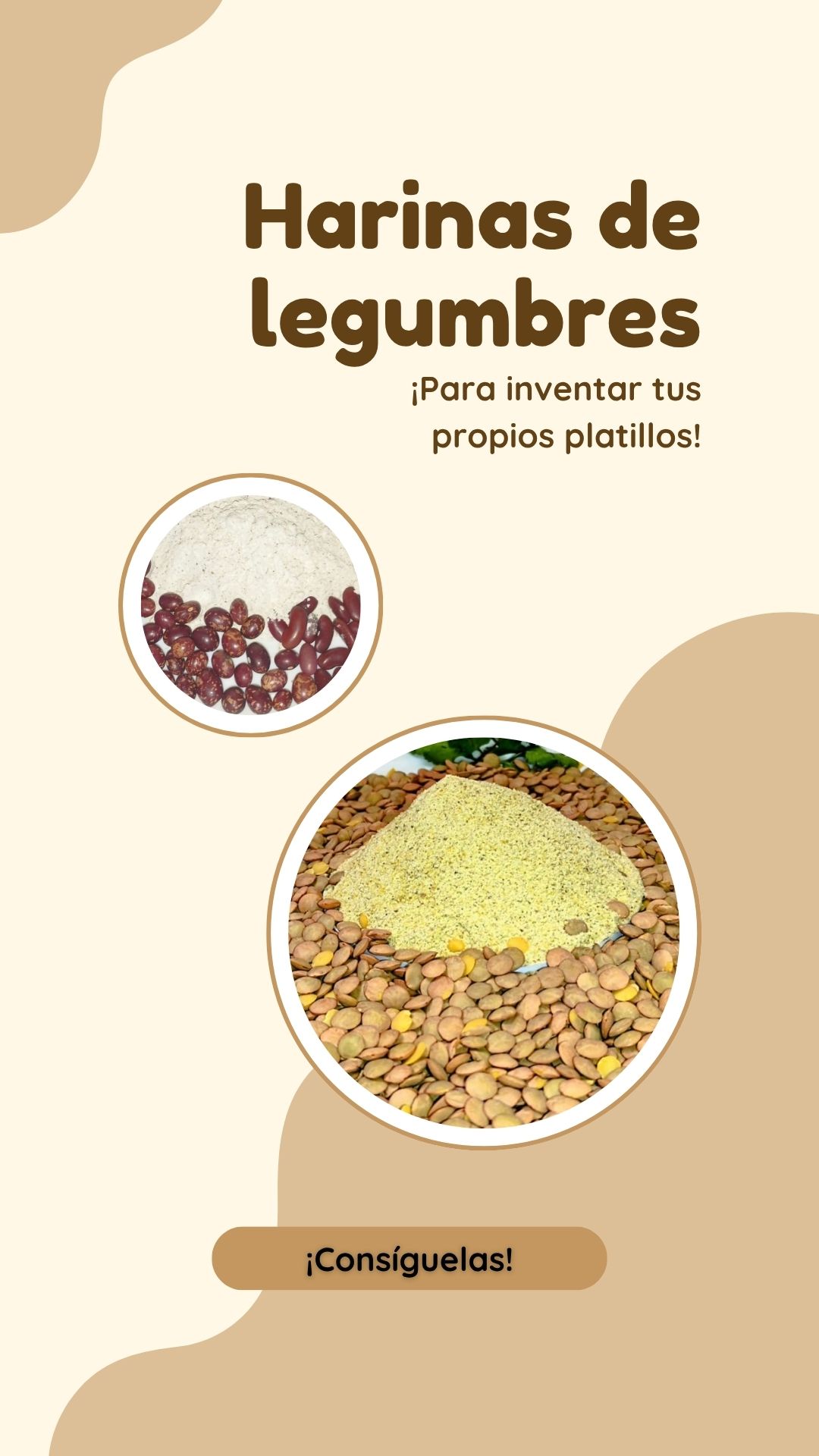 Banner movil harinas